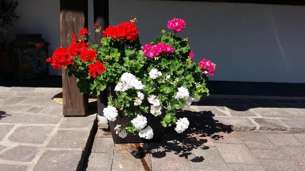 Chalet Villa Rita Tesero Kültér fotó